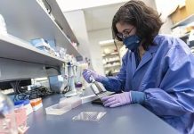 Identifican 26 compuestos naturales que bloquean el COVID-19 La investigadora Jimena Pérez-Vargas analizando componentes naturales