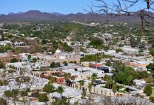 Arranca con éxito el primer fin de semana del Festival Alfonso Ortiz Tirado