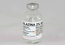EE.UU. designa a la xilazina como “amenaza emergente” a la salud pública