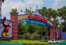 VIDEO | Un oso fue avistado en un parque de Disney y varias atracciones fueron cerradas