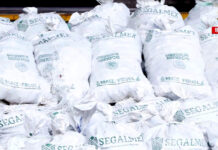 INCAUTAN EN HONG KONG COSTALES DE METANFETAMINA CON PRESUNTOS SELLOS DEL GOBIERNO DE MÉXICO