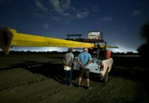 DETIENEN A DOS POR ROBO DE ALUMBRADO PÚBLICO