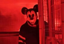 MICKEY MOUSE TENDRÁ DOS PELÍCULAS DE TERROR TRAS LIBERACIÓN DE LOS DERECHOS DE AUTOR