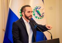 BUKELE INTENTÓ PACTAR CON EL CJNG PARA RECAPTURAR UN LÍDER CRIMINAL, REVELA INVESTIGACIÓN