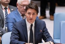 ENCUESTAS Y LLEGADA DE REFUGIADOS FUERZAN A TRUDEAU A EXIGIR VISAS A MEXICANOS