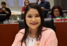 Deni Gastelum Barreras, Presidenta de la Comisión de Derechos de la Niñez, Adolescencia y Juventud