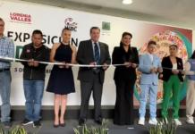 Inaugura Lorenia Valles exposición verde y oro del Consejo Mundial de Boxeo en Senado de la República
