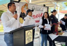 ESTUDIANTES DE LA PRIMARIA JAIME TORRES BODET SE GRADÚAN DEL PROGRAMA DARE