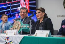 Inaugura Lorenia Valles exposición verde y oro del Consejo Mundial de Boxeo en Senado de la República