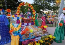 CAJEME Y SUS COMISARÍAS SE VISTEN DE COLORES DURANTE EL FIN DE SEMANA CON FESTIVAL DE LAS CALACAS