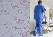 Fallecen 13 menores en Edomex por posible contagio de bacteria Klebsiella oxytoca