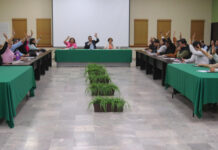 Autoriza Cabildo De Cajeme Celebración De Contrato Con La Empresa Telefonía Por Cable