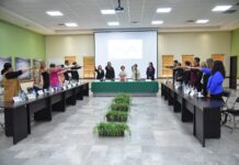 Reinstalan en Cajeme consejo municipal para la prevención, atención y tratamiento de la violencia familiar y de género 2024