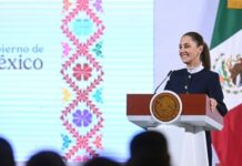 Estrategia Nacional de Seguridad da resultados con reducción de 18.1% en homicidios dolosos: presidenta Claudia Sheinbaum