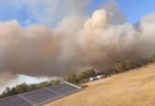 Se incendian más de 50 hectáreas de pastizal en Tecámac