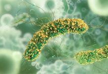 Aumentan en México los casos de zoonosis