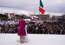 PRESIDENTA CLAUDIA SHEINBAUM PRSENTARÁ ESTE MES INCIATIVA PARA PROHIBIR DEFINITIVAMENTE LA SIEMBRA DEL MAÍZ TRANSGÉNICO*