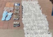 Secretaría de Seguridad Pública asegura cargamento de más de 100 kg de sustancias ilícitas en operativo estratégico