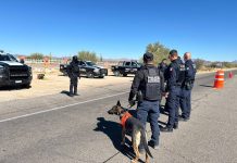 Asegura Gobierno de Sonora más de 5 mil dosis de narcótico en operativos de la Policía Estatal