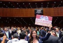 REFORMA QUE PROHÍBE LA REELECCIÓN CONSECUTIVA Y EL NEPOTISMO ELECTORAL FORTALECERÁ LA CONFIANZA EN LAS INSTITUCIONES PÚBLICAS