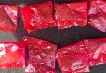 Binomio canino del Gobierno de Sonora genera resultados en operativo de Hermosillo