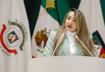 Diputada Claudia Bours propone la pérdida de la patria potestad en casos de violencia vicaria