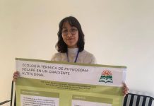 Participará Universidad de la Sierra en investigación internacional para conservar especie de lagarto