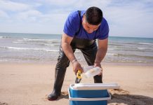 Supervisa Gobierno de Sonora playas y albercas en la entidad: Secretaría de Salud Pública