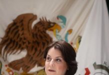 Registro de Deudores Alimentarios una deuda pendiente para proteger derechos de las infancias: Gabriela Félix*