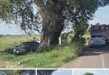 Abejas acaban con la vida de un adulto en el Valle del yaqi